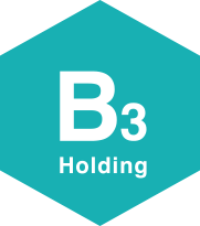 B3 Holding